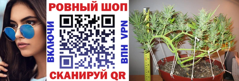 Магазины продажи наркотиков Копейск Бошки Шишки  Альфа ПВП  АМФ  MDMA  Мефедрон  мега маркетплейс  Кокаин 