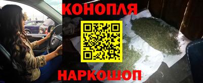 индика Заводоуковск