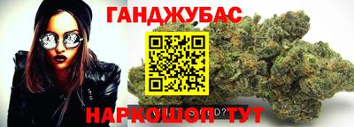 индика Заводоуковск