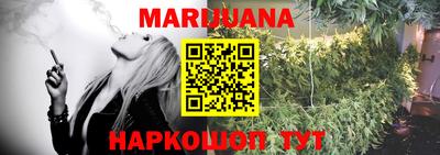индика Заводоуковск