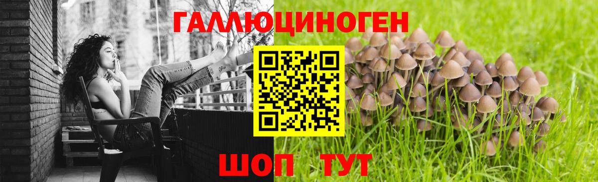 Псилоцибиновые грибы GOLDEN TEACHER Копейск